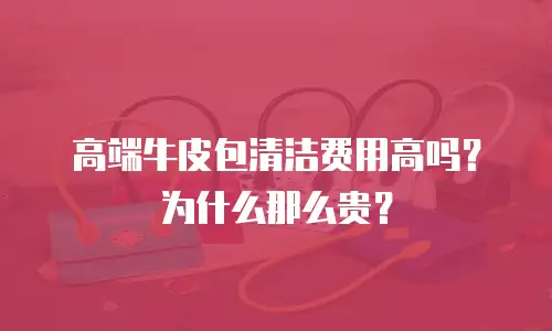 高端牛皮包清洁费用高吗？为什么那么贵？