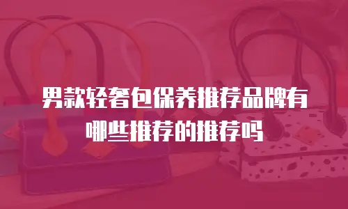 男款轻奢包保养推荐品牌有哪些推荐的推荐吗