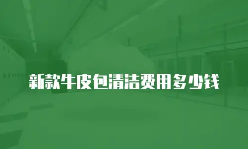 新款牛皮包清洁费用多少钱