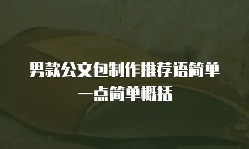 男款公文包制作推荐语简单一点简单概括