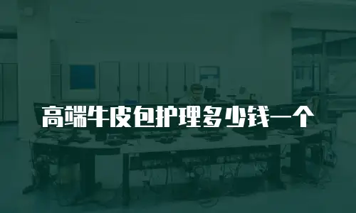 高端牛皮包护理多少钱一个