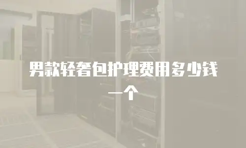 男款轻奢包护理费用多少钱一个