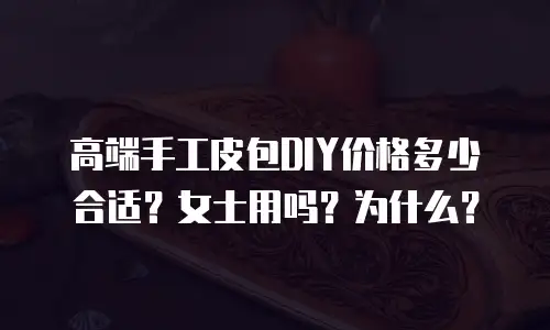 高端手工皮包DIY价格多少合适？女士用吗？为什么？