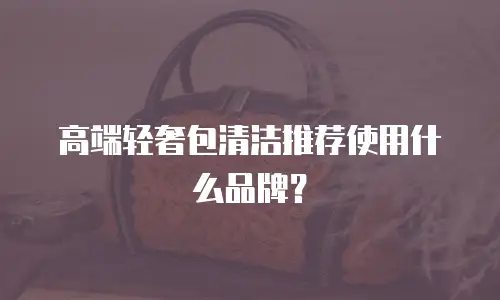 高端轻奢包清洁推荐使用什么品牌？
