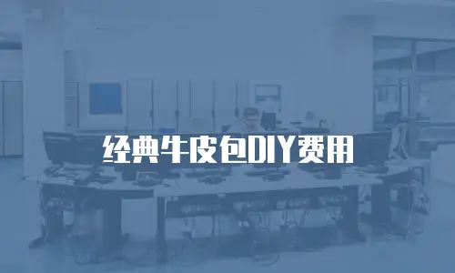经典牛皮包DIY费用