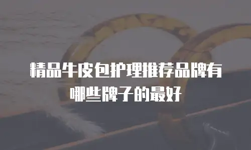 精品牛皮包护理推荐品牌有哪些牌子的最好