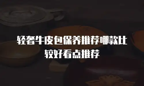 轻奢牛皮包保养推荐哪款比较好看点推荐