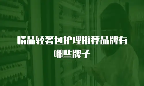 精品轻奢包护理推荐品牌有哪些牌子