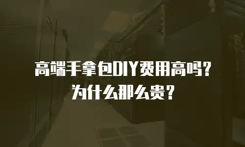 高端手拿包DIY费用高吗？为什么那么贵？