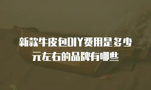 新款牛皮包DIY费用是多少元左右的品牌有哪些