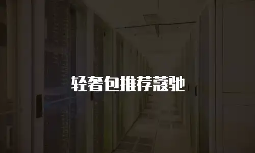 轻奢包推荐蔻驰