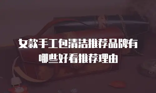 女款手工包清洁推荐品牌有哪些好看推荐理由