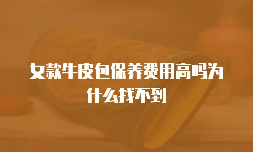 女款牛皮包保养费用高吗为什么找不到