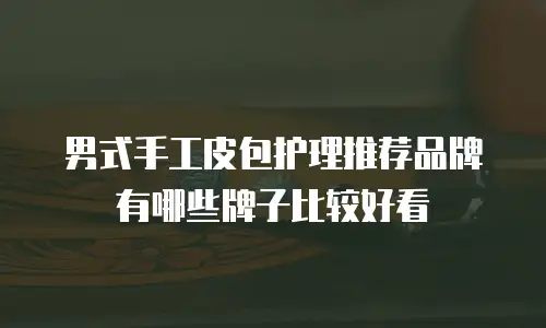 男式手工皮包护理推荐品牌有哪些牌子比较好看
