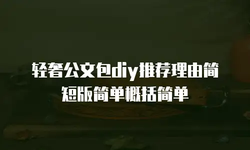 轻奢公文包diy推荐理由简短版简单概括简单