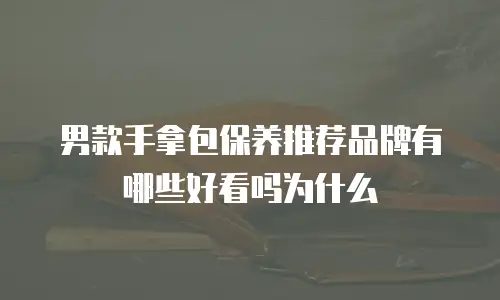 男款手拿包保养推荐品牌有哪些好看吗为什么