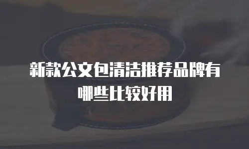 新款公文包清洁推荐品牌有哪些比较好用