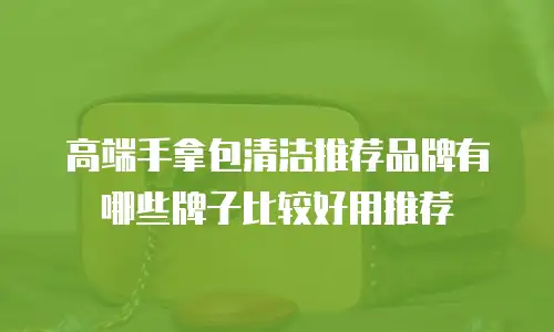 高端手拿包清洁推荐品牌有哪些牌子比较好用推荐