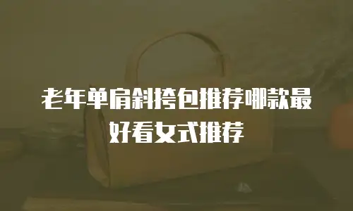 老年单肩斜挎包推荐哪款最好看女式推荐