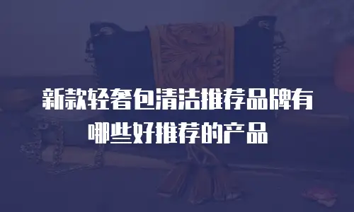 新款轻奢包清洁推荐品牌有哪些好推荐的产品