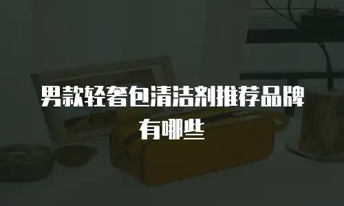 男款轻奢包清洁剂推荐品牌有哪些