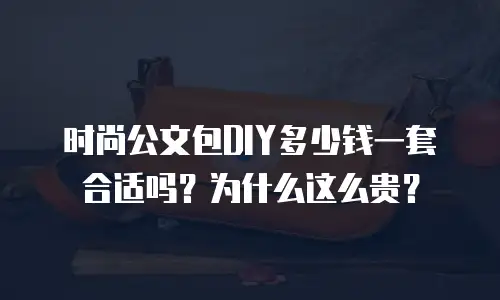 时尚公文包DIY多少钱一套合适吗？为什么这么贵？