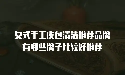 女式手工皮包清洁推荐品牌有哪些牌子比较好推荐