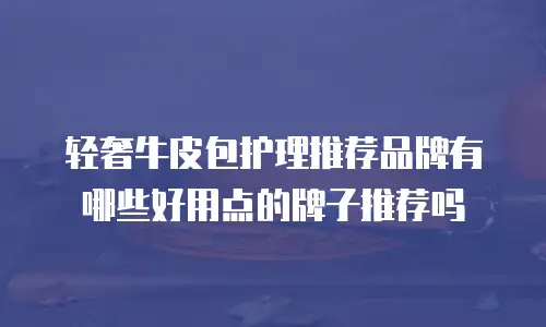 轻奢牛皮包护理推荐品牌有哪些好用点的牌子推荐吗