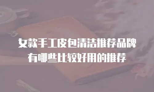 女款手工皮包清洁推荐品牌有哪些比较好用的推荐