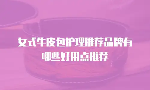 女式牛皮包护理推荐品牌有哪些好用点推荐