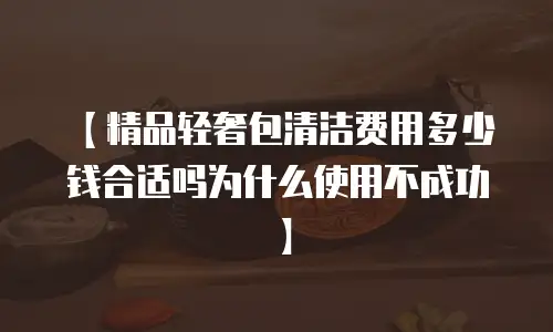【精品轻奢包清洁费用多少钱合适吗为什么使用不成功】