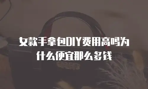 女款手拿包DIY费用高吗为什么便宜那么多钱