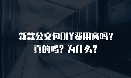 新款公文包DIY费用高吗？真的吗？为什么？