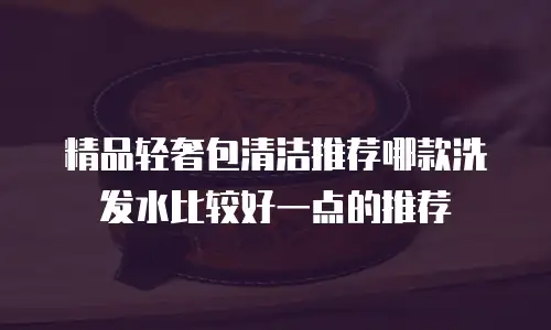 精品轻奢包清洁推荐哪款洗发水比较好一点的推荐