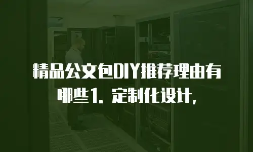精品公文包diy推荐理由有哪些理由