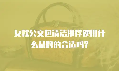 女款公文包清洁推荐使用什么品牌的合适吗？