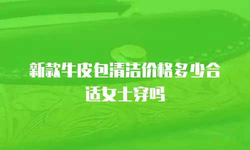 新款牛皮包清洁价格多少合适女士穿吗