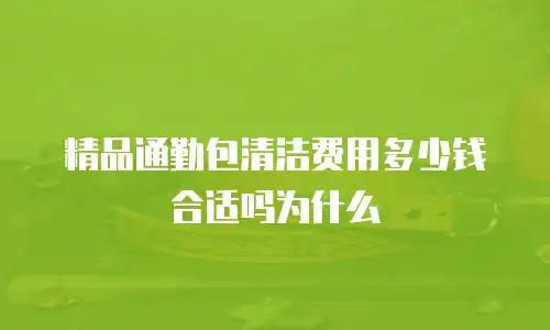 精品通勤包清洁费用多少钱合适吗为什么