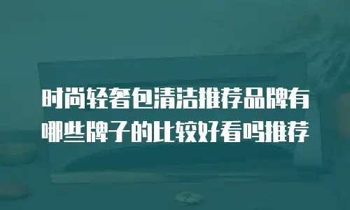 时尚轻奢包清洁推荐品牌有哪些牌子的比较好看吗推荐