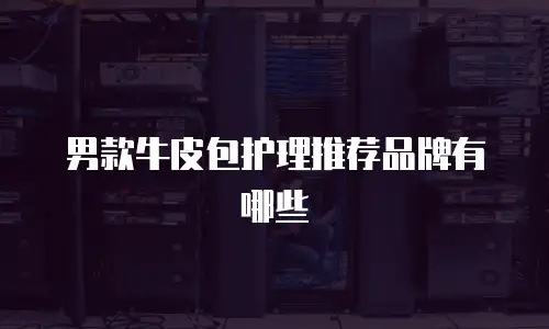 男款牛皮包护理推荐品牌有哪些