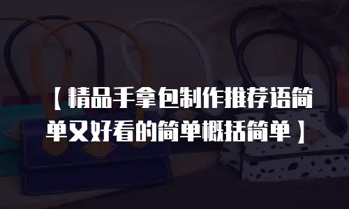 【精品手拿包制作推荐语简单又好看的简单概括简单】