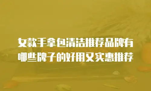 女款手拿包清洁推荐品牌有哪些牌子的好用又实惠推荐