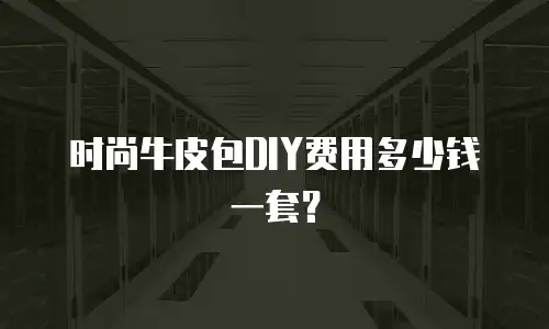 时尚牛皮包DIY费用多少钱一套？