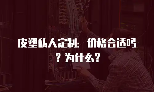 皮塑私人定制：价格合适吗？为什么？