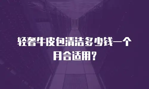 轻奢牛皮包清洁多少钱一个月合适用？
