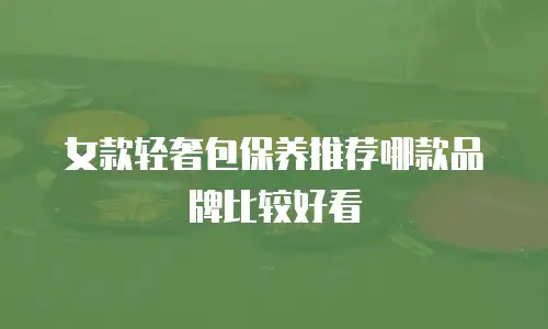 女款轻奢包保养推荐哪款品牌比较好看