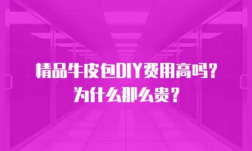 精品牛皮包DIY费用高吗？为什么那么贵？