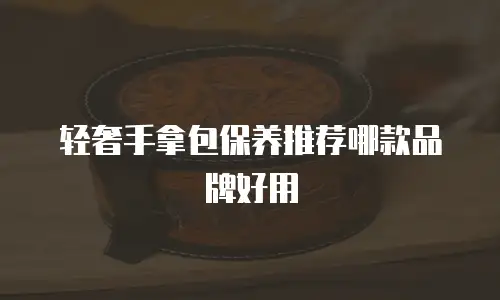 轻奢手拿包保养推荐哪款品牌好用