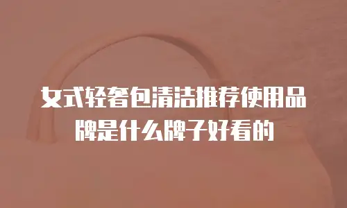 女式轻奢包清洁推荐使用品牌是什么牌子好看的