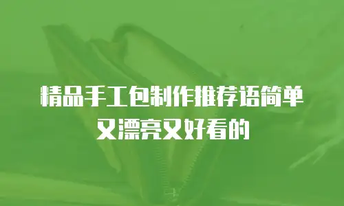 精品手工包制作推荐语简单又漂亮又好看的